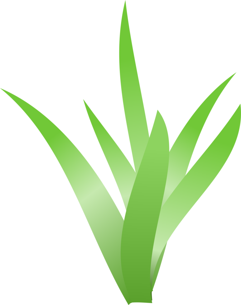 grass, green grass png