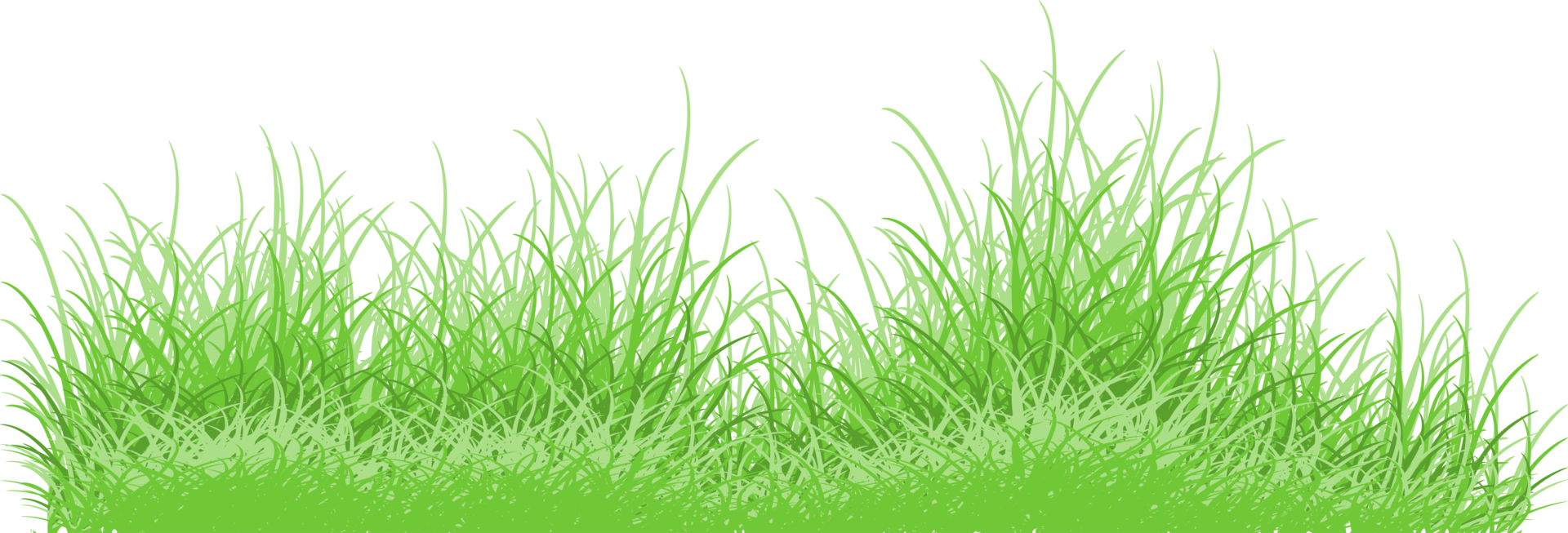 green grass png