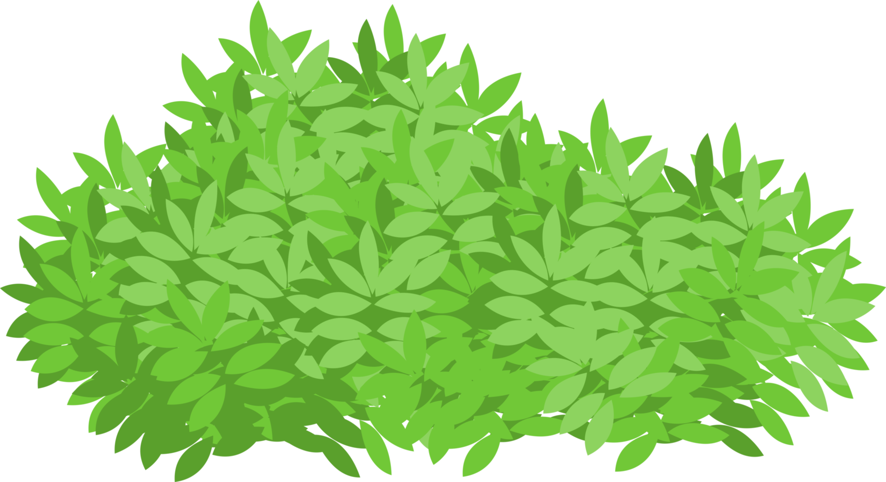 buisson vert, feuilles png