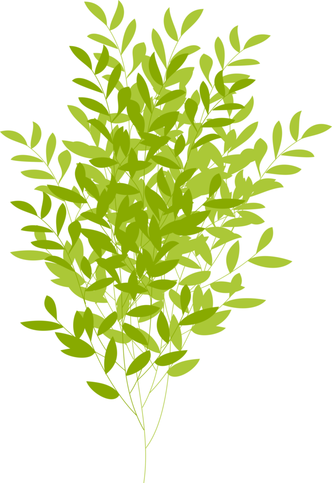 tree, tree bush, branch. foliage png