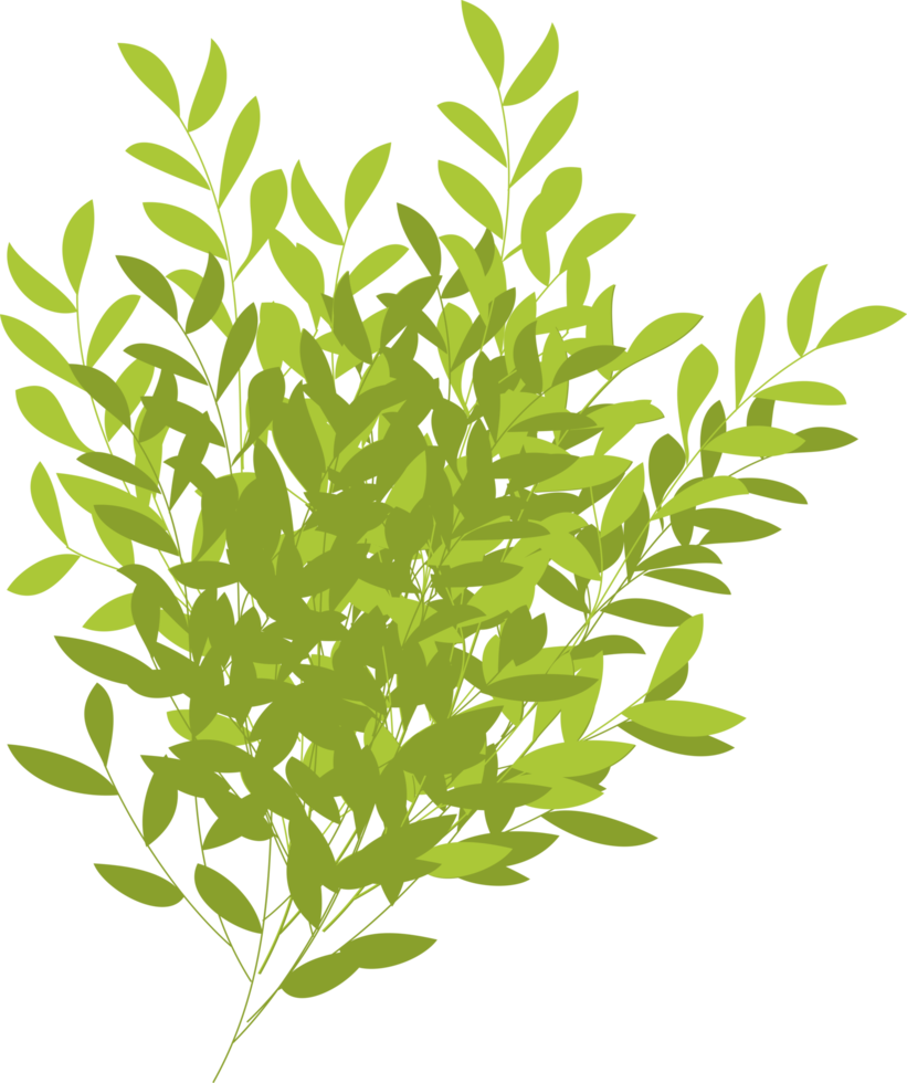 tree, tree bush, branch. foliage png