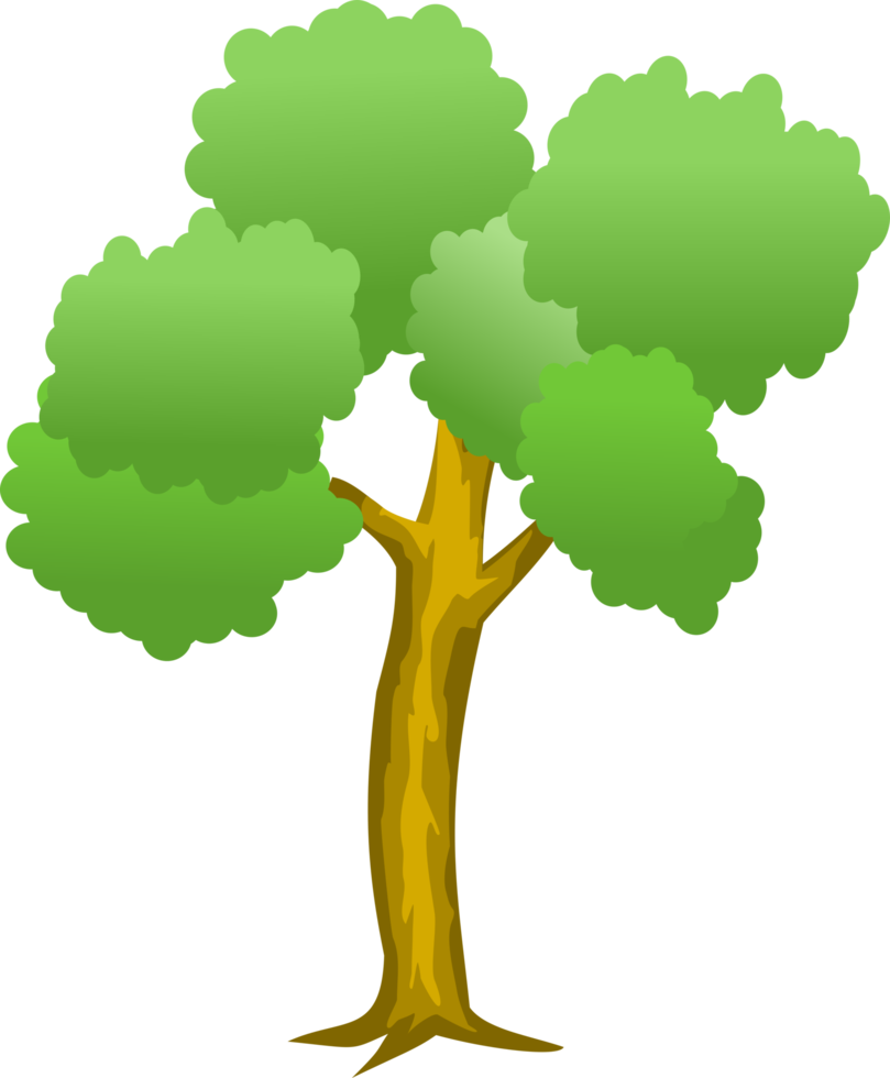 tree png, forest png