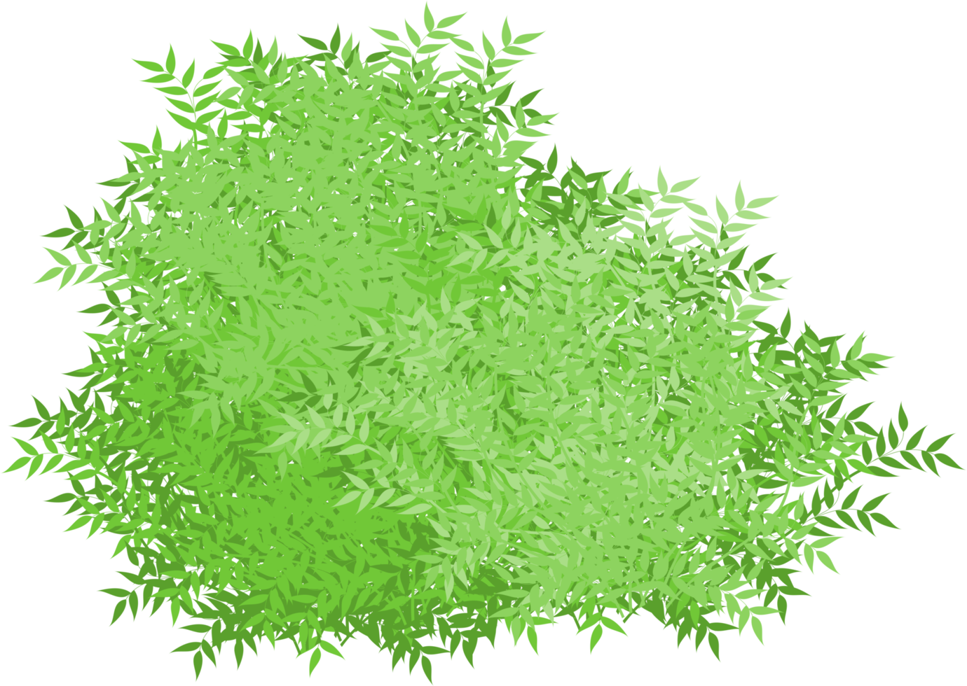 bush, green bush png