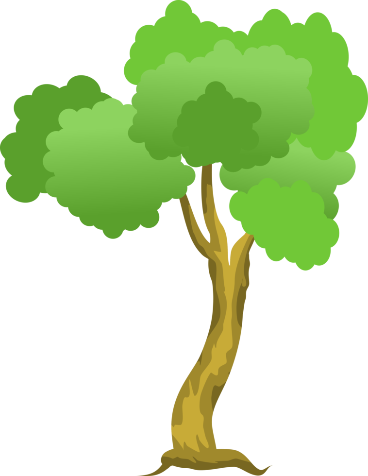 árbol de dibujos animados, árbol verde png