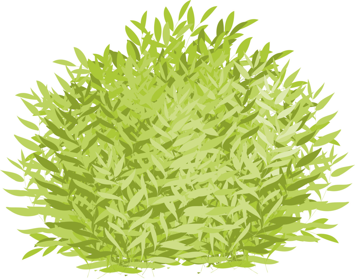 Busch, grüner Busch png