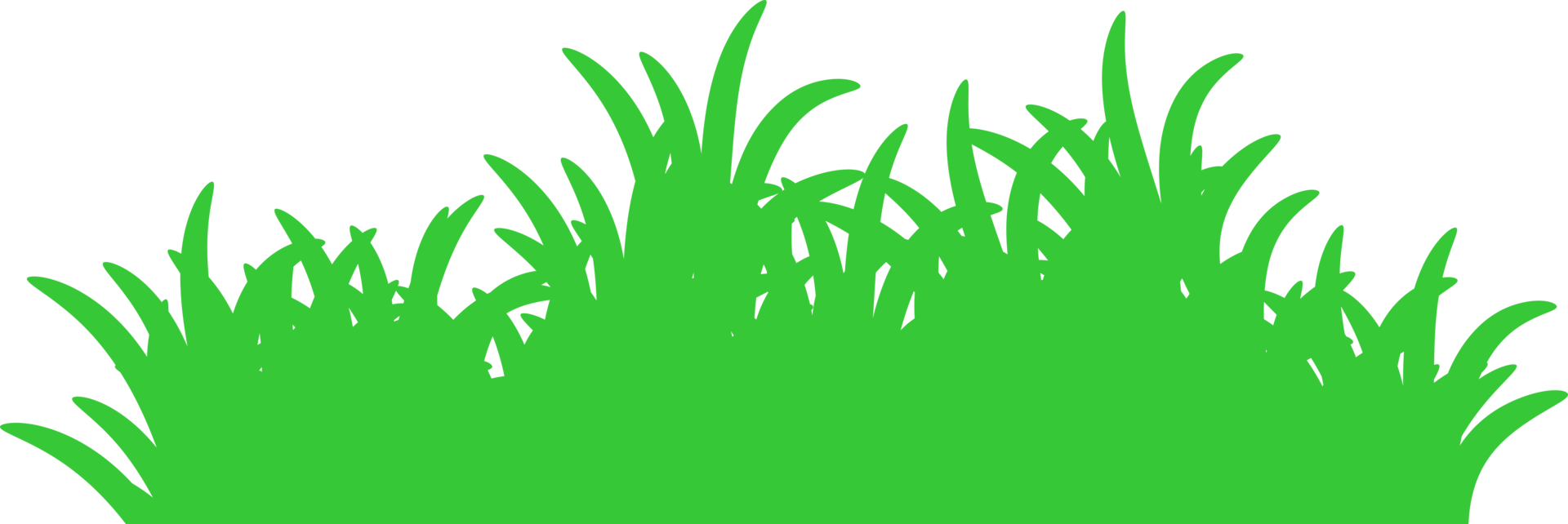 herbe, herbe verte png