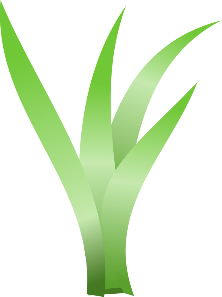 grass, green grass png