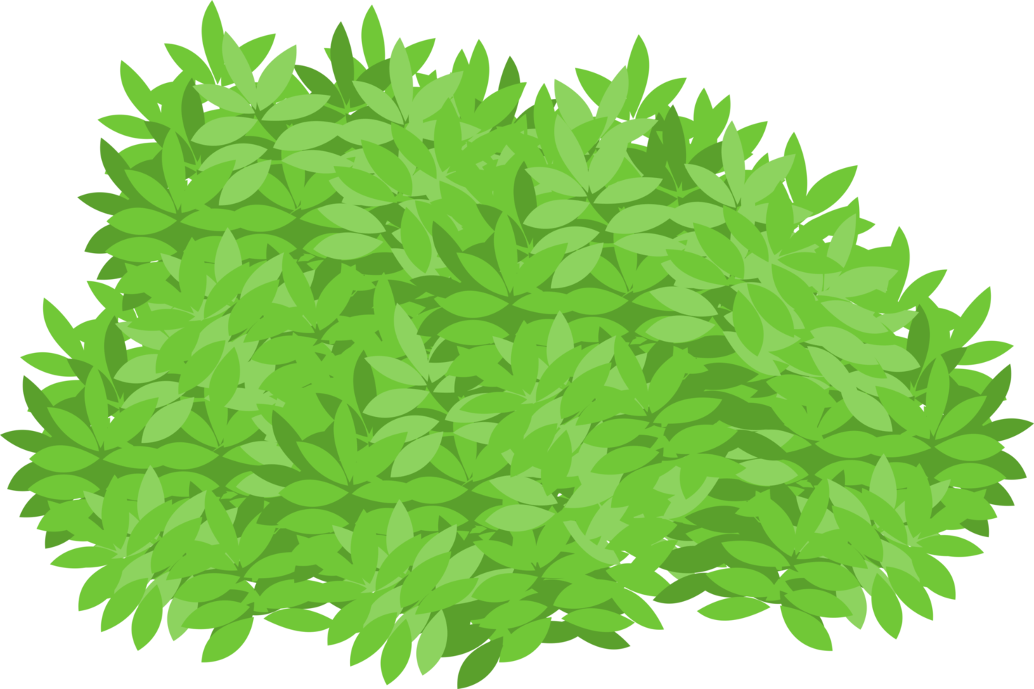 arbusto, arbusto verde png