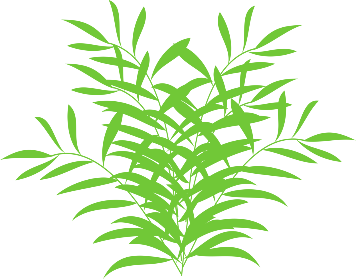 tropical bush, tropical foliage png
