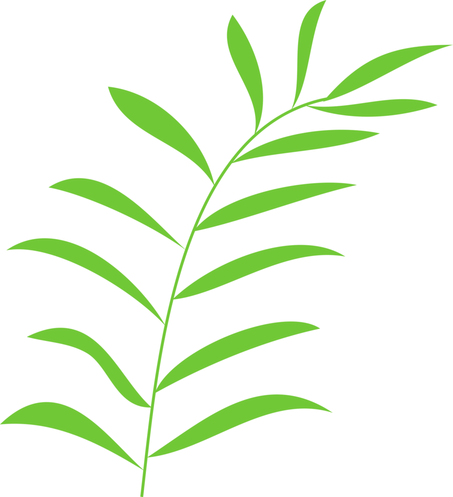 foliage, floral, leaves png