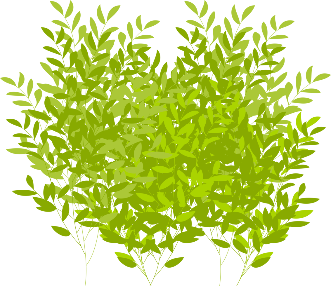 tree, tree bush, branch. foliage png
