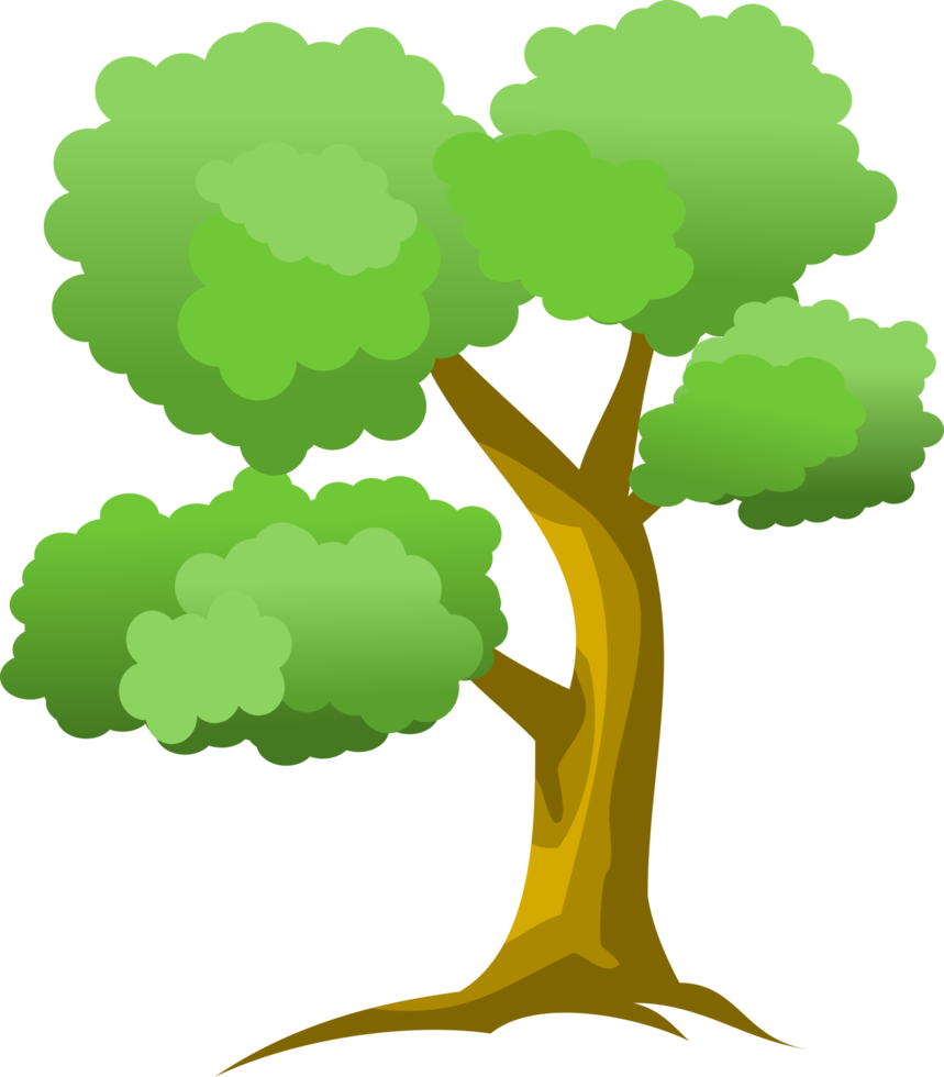 árbol png, bosque png