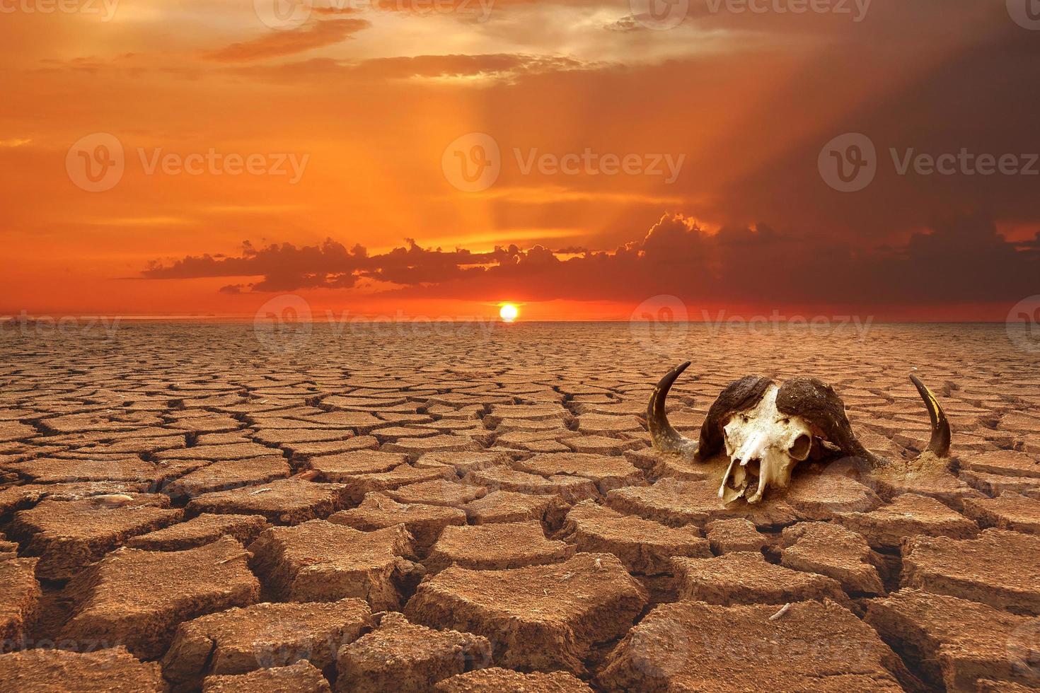 Global warming, drought, lack of rain, no seasonality The land is cracked. concept of environment change and global warming photo