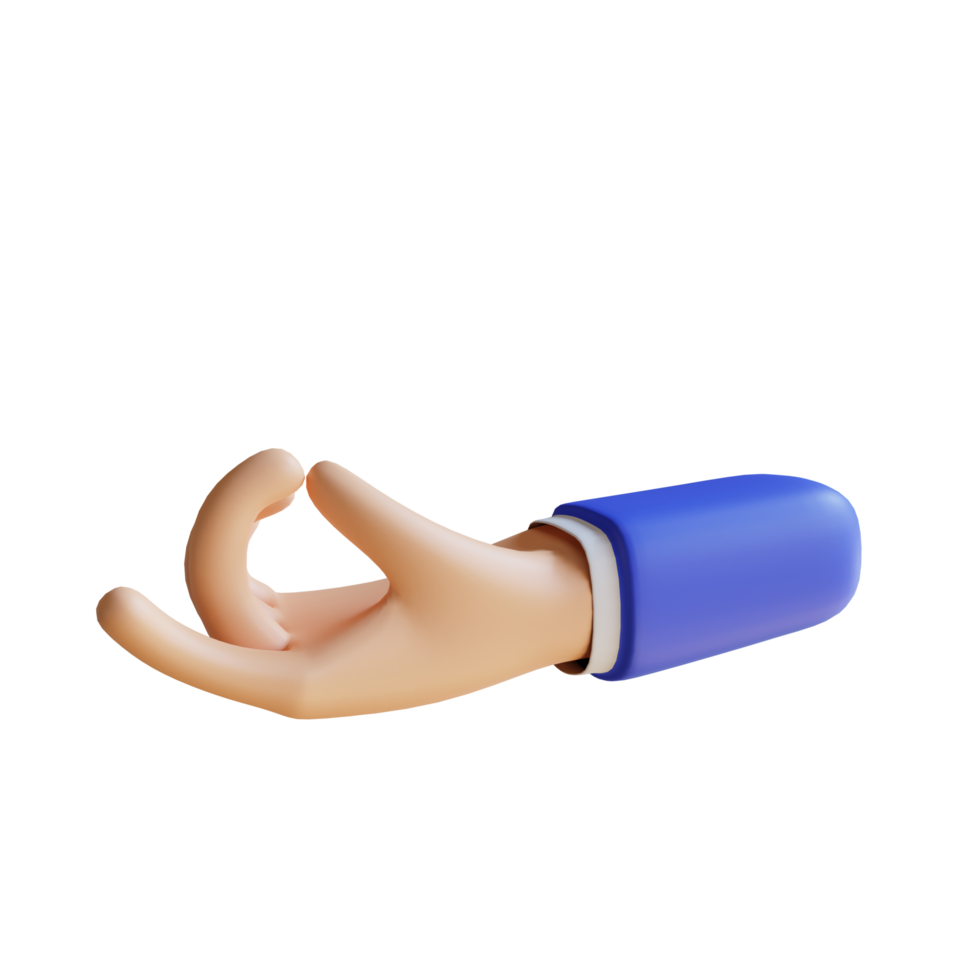 3D Holding Hand Gesture png