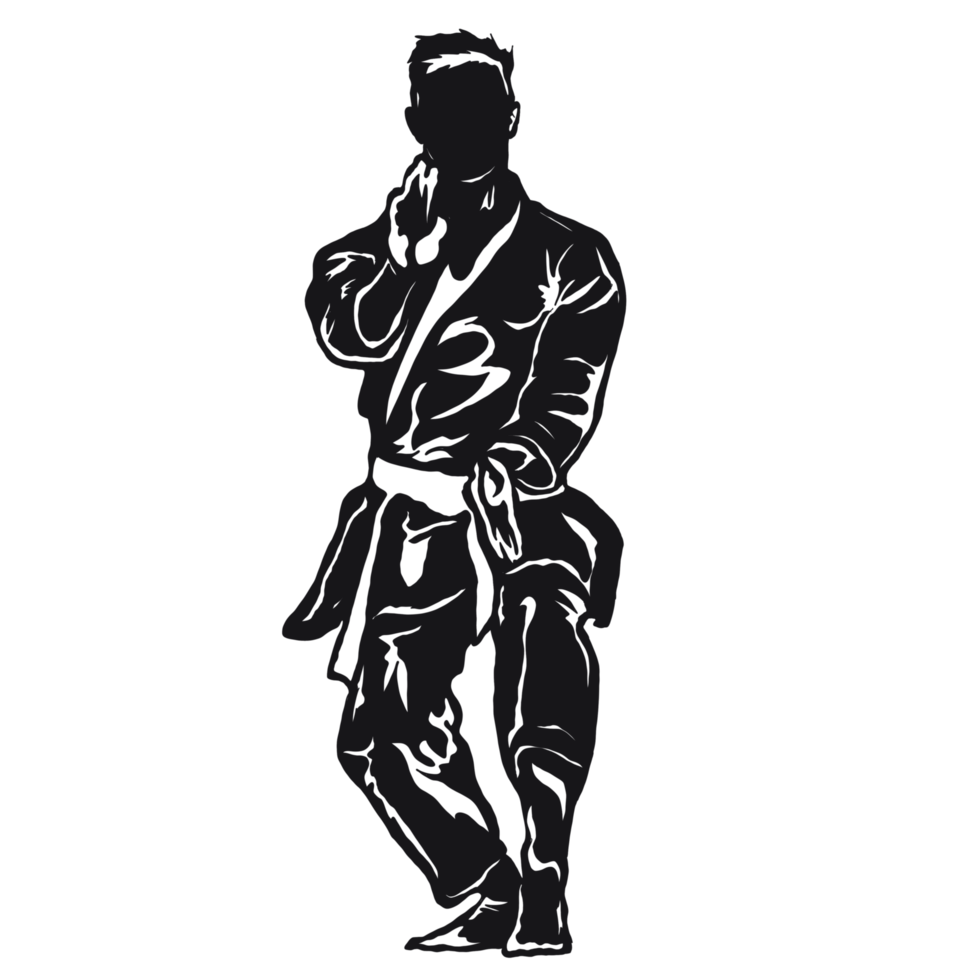 karate illustration png