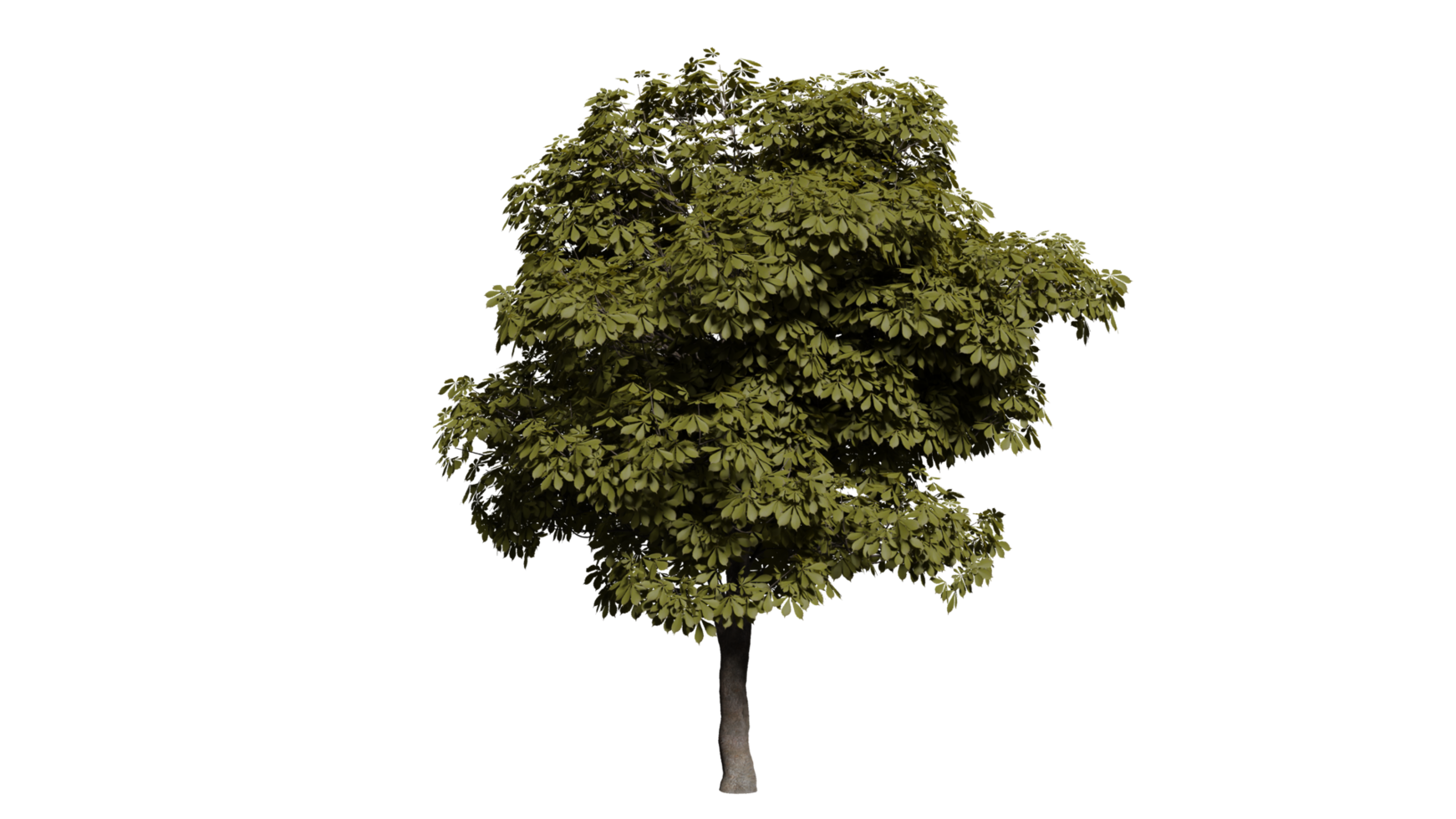 floresta de árvores 3d png