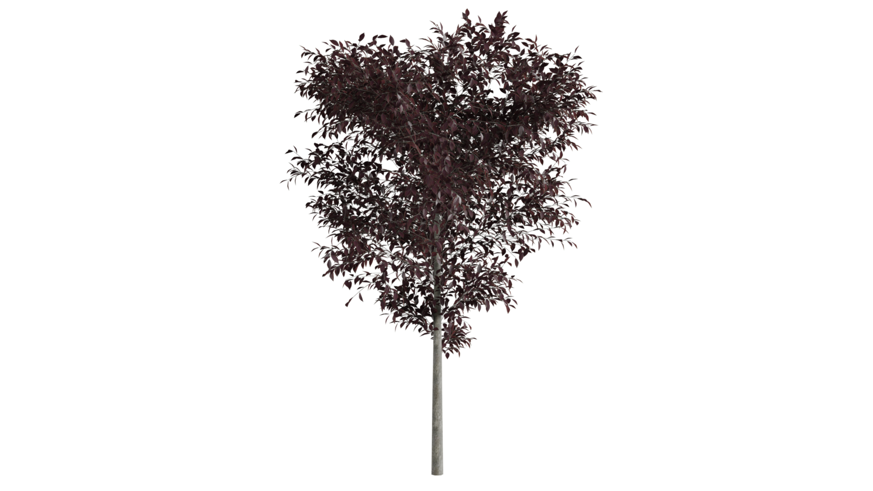 árbol bosque 3d png