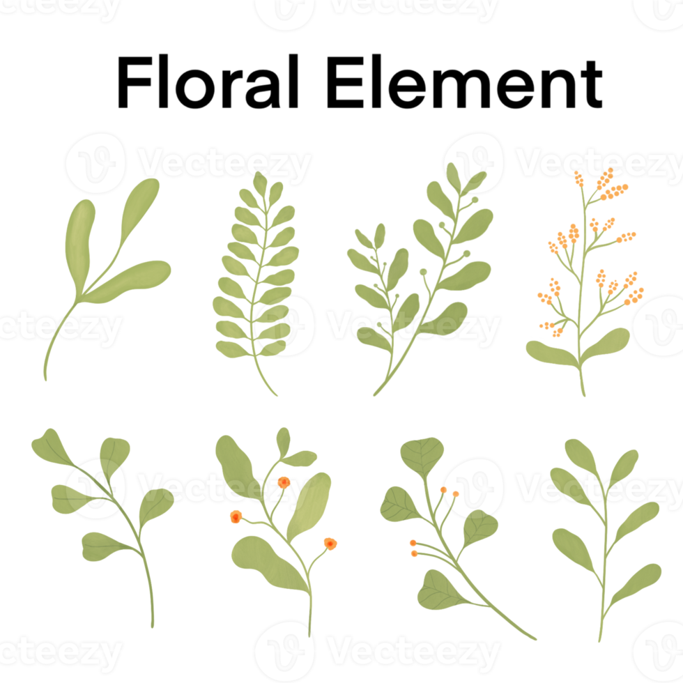 Floral and leaves set. png