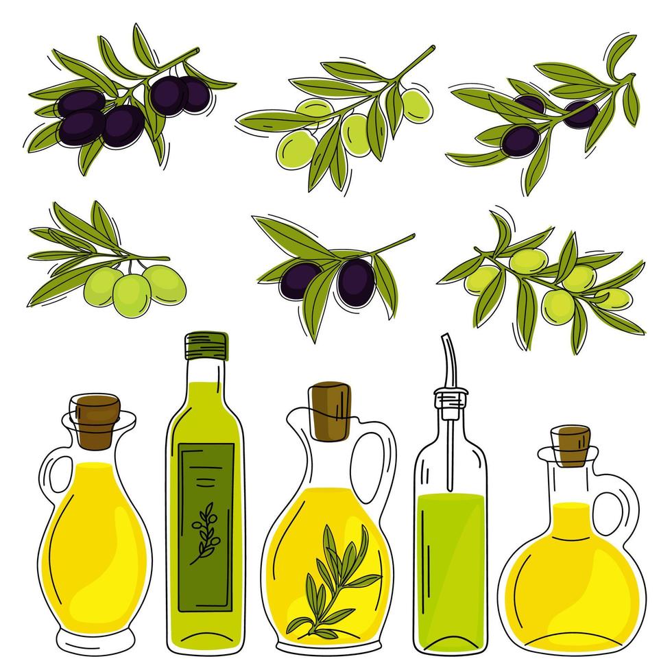 Collection of hand drawn olive branches and glass bottles with olive oil. vector