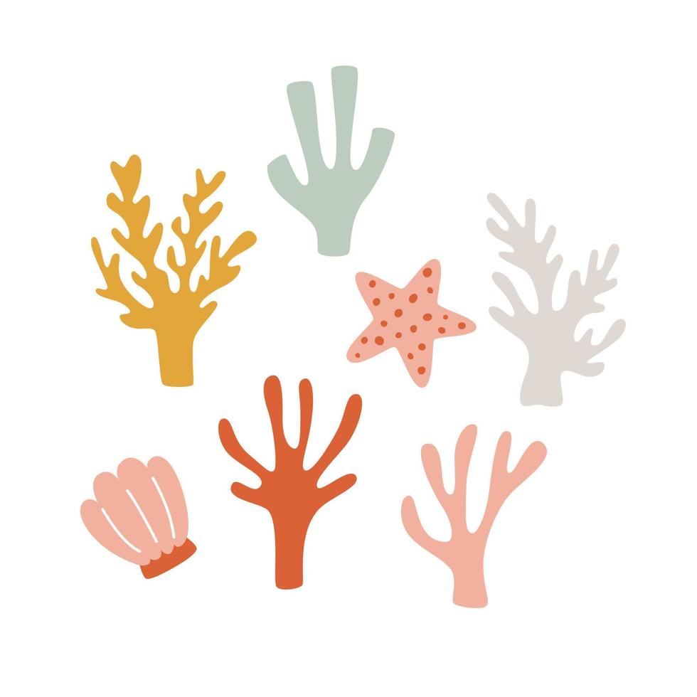 Underwater sea corals and algae. The nautical decor is hand-drown in the form of a seashell and a starfish. Vector illustration of plants