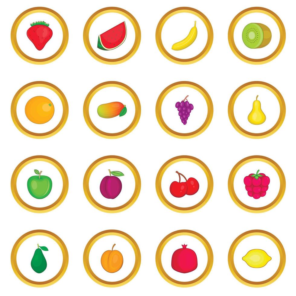 Fruit icons circle vector