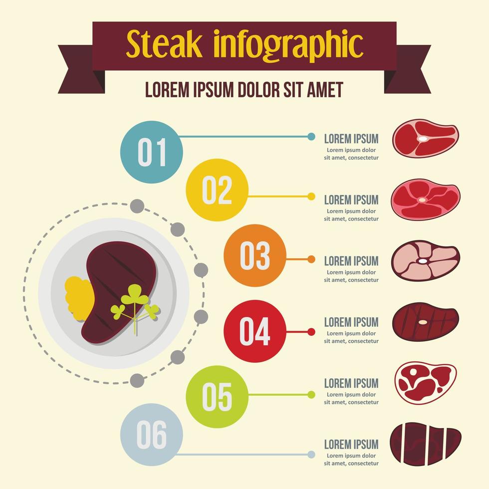 Steak infographic concept, flat style vector