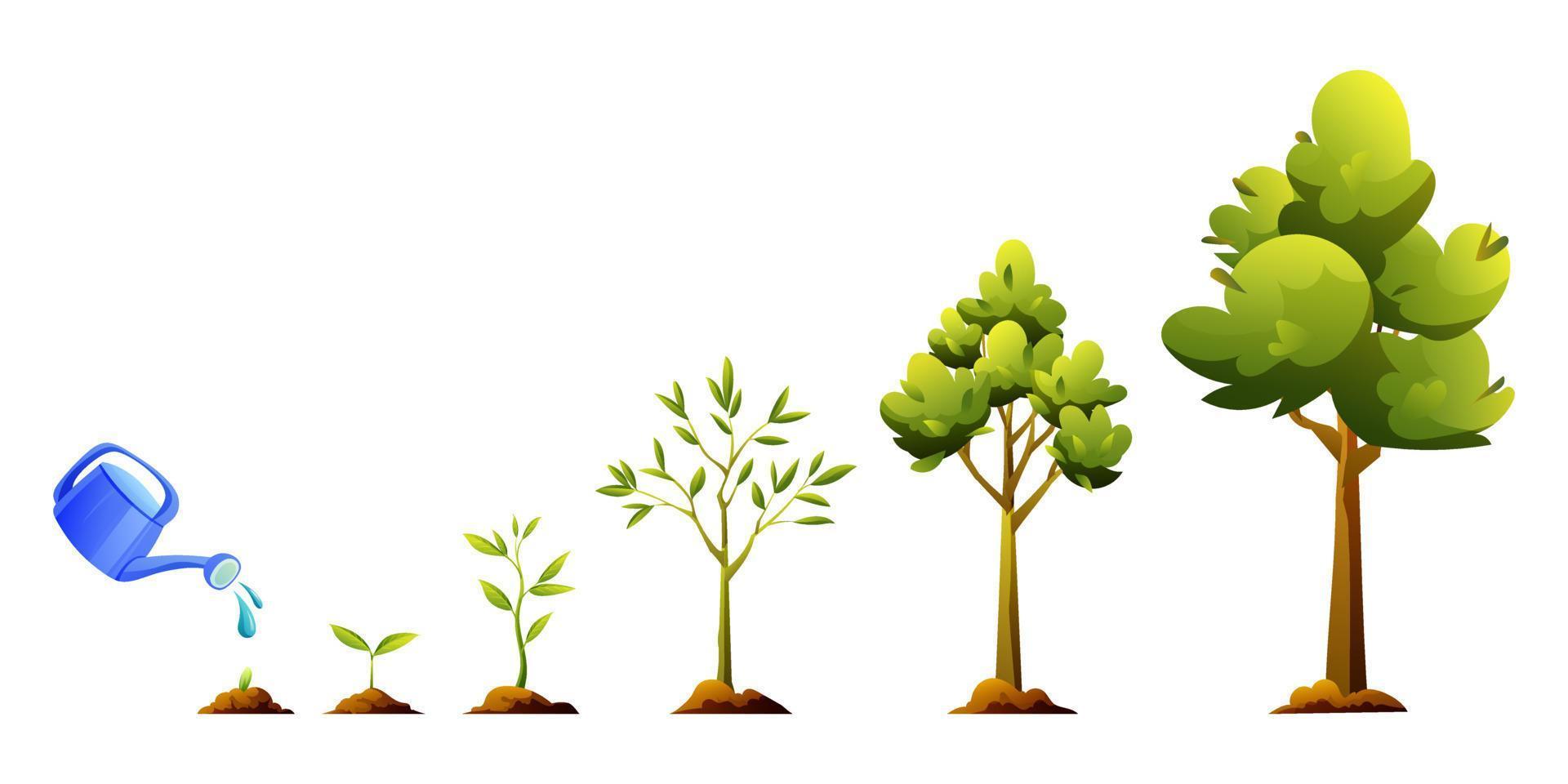 ilustración de dibujos animados de etapas de crecimiento y desarrollo de  árboles. ciclo de vida de la planta 8856890 Vector en Vecteezy