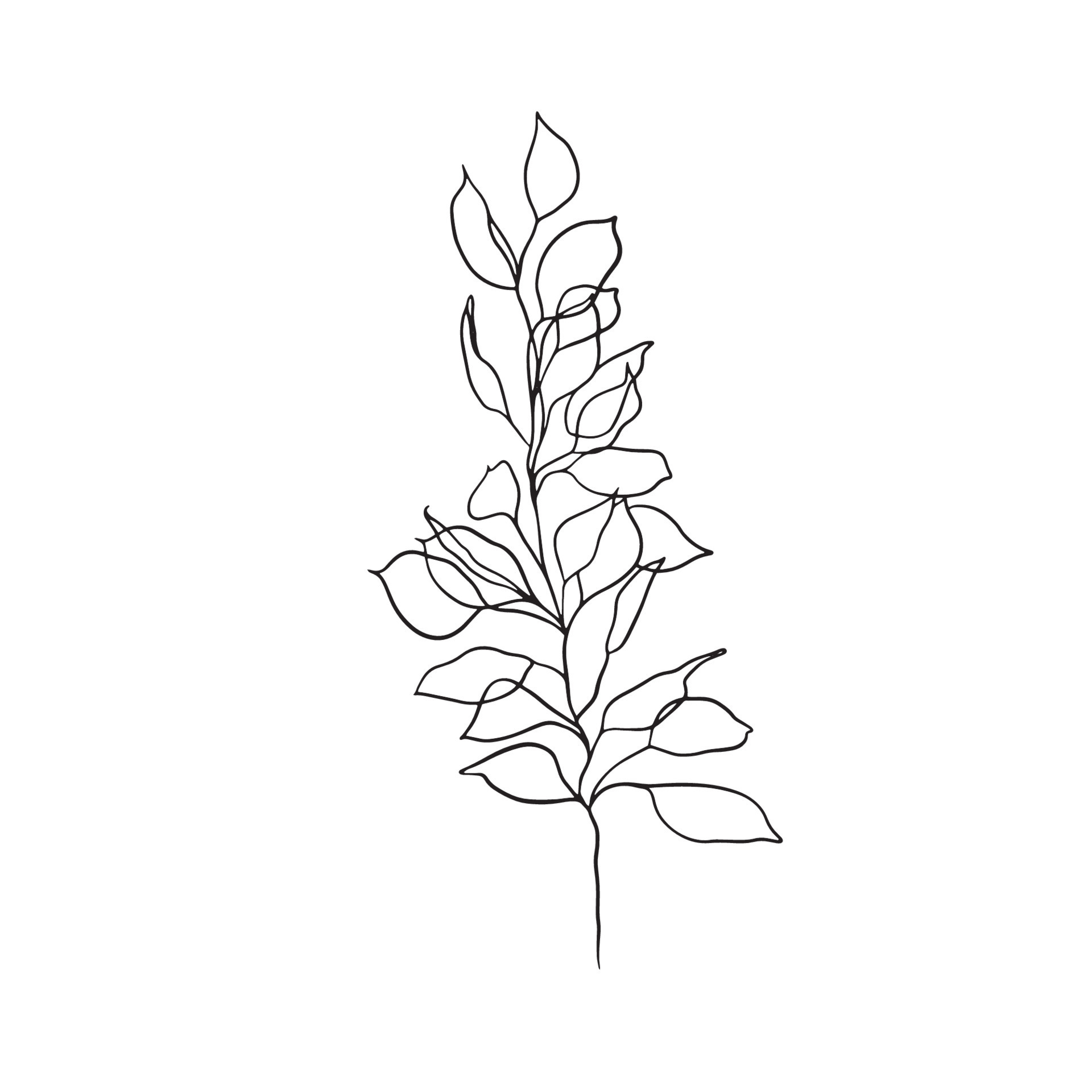 Black and white vector plant 8856973 Vector Art at Vecteezy