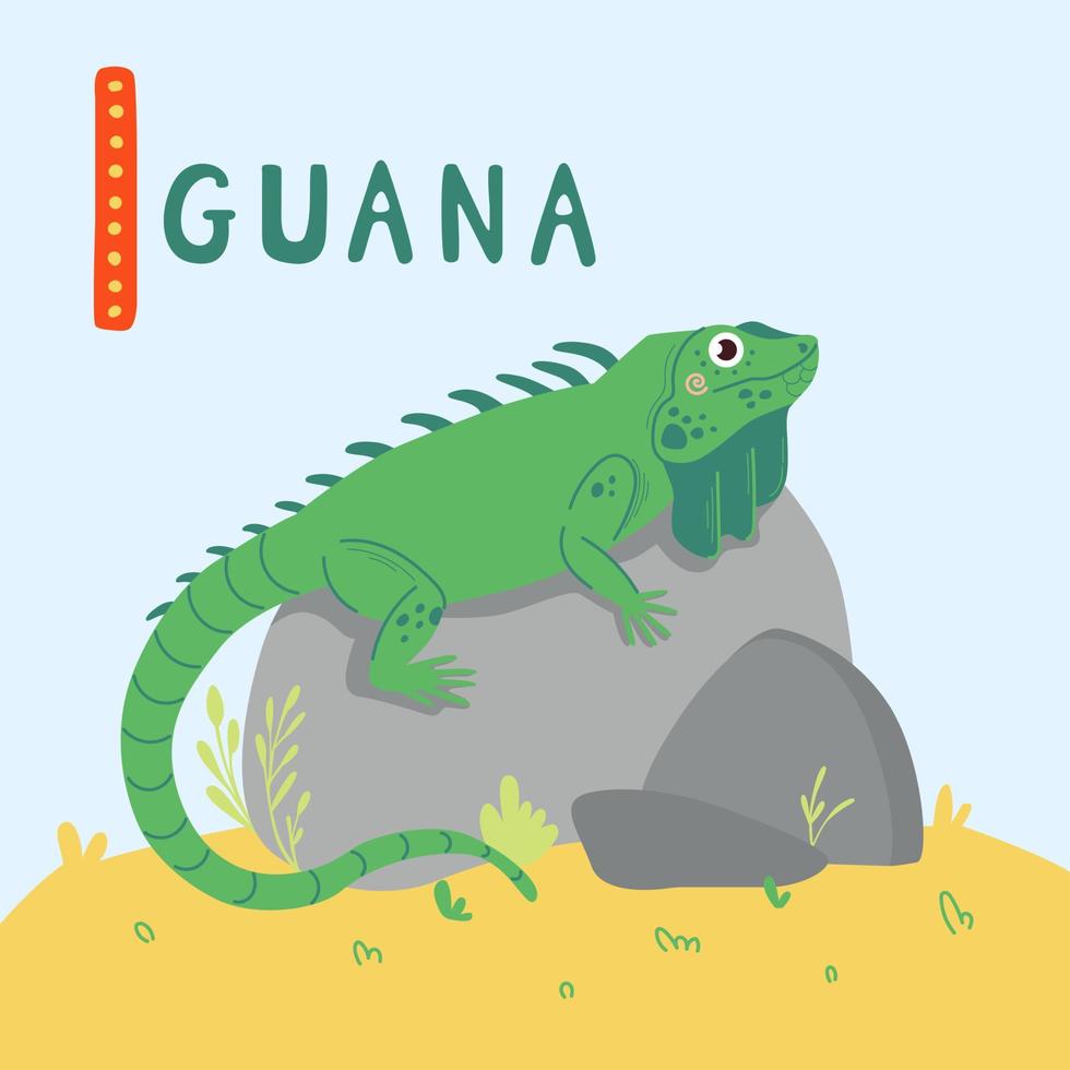 linda iguana verde con cola larga sobre piedras. diseño de animales lindos del zoológico para niños vector