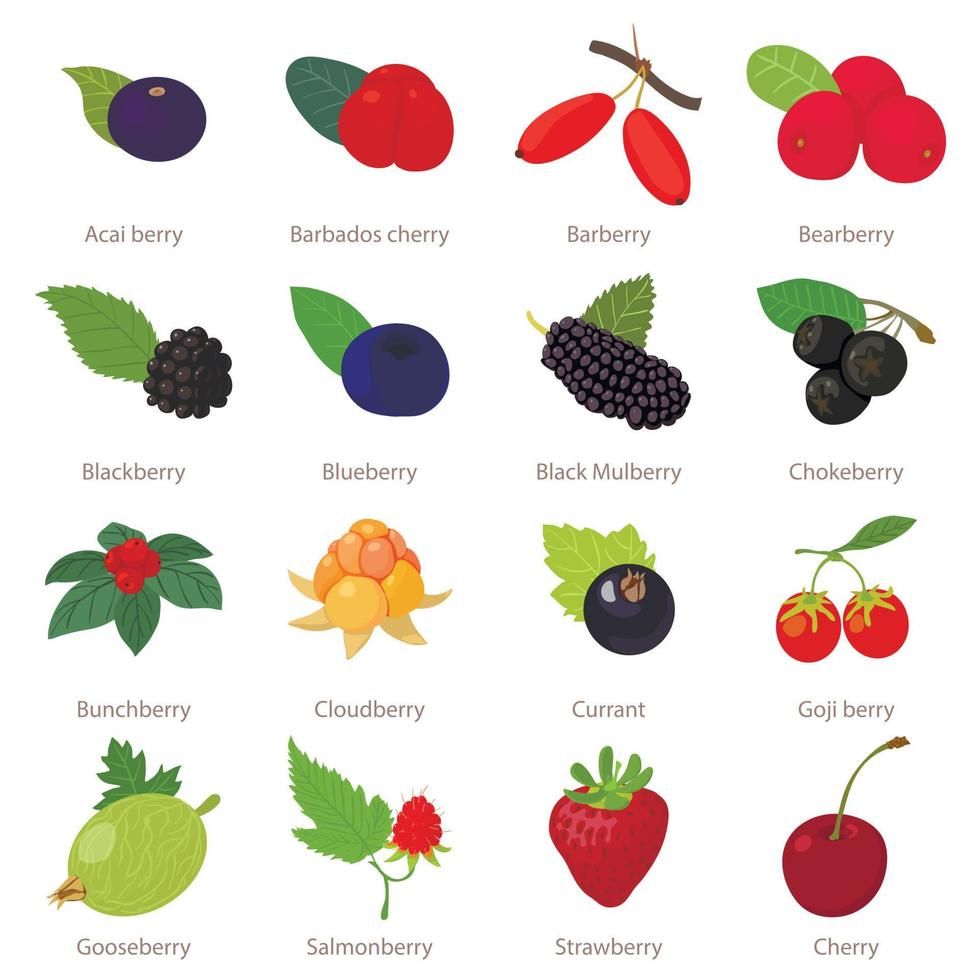 Berries icons set, cartoon style vector