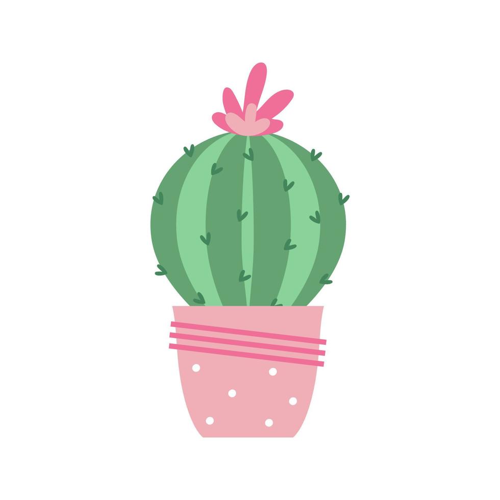 Colorful cactus plant with flowers in colored pots. Exotic and Tropical Plants - Cacti for design isolated on white background. Hand drawn cactus for design. vector