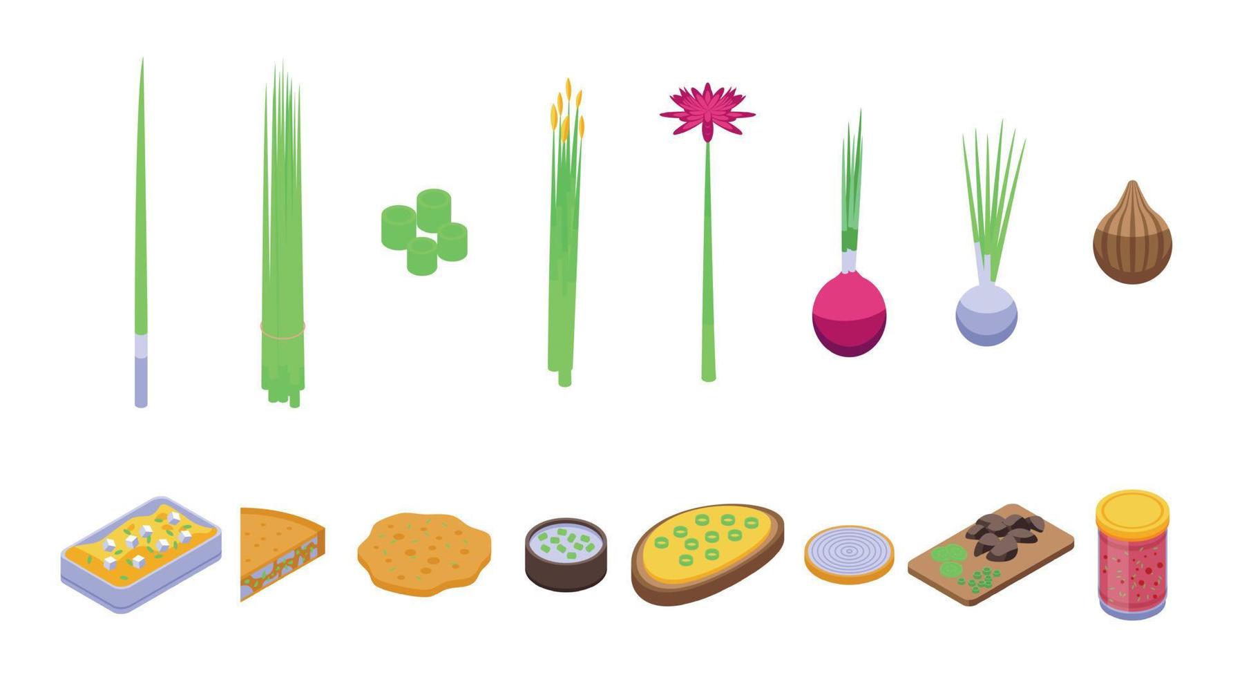 Chives icons set, isometric style vector
