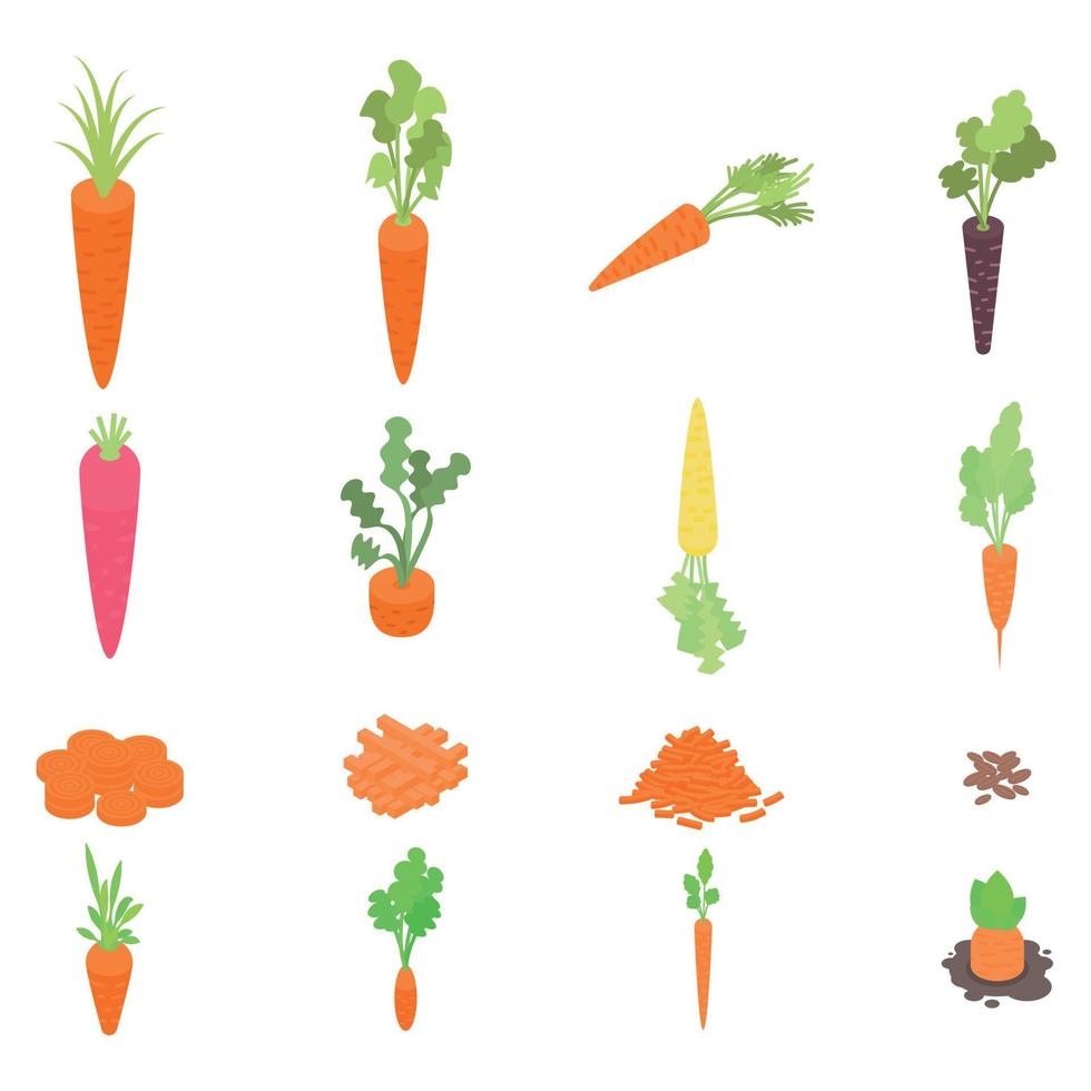 Carrot icons set, isometric style vector