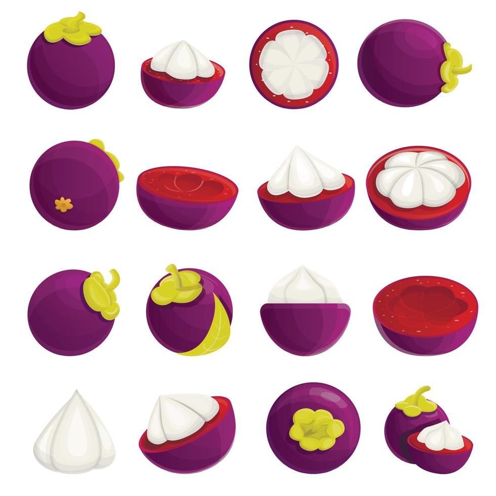 Mangosteen icons set, cartoon style vector