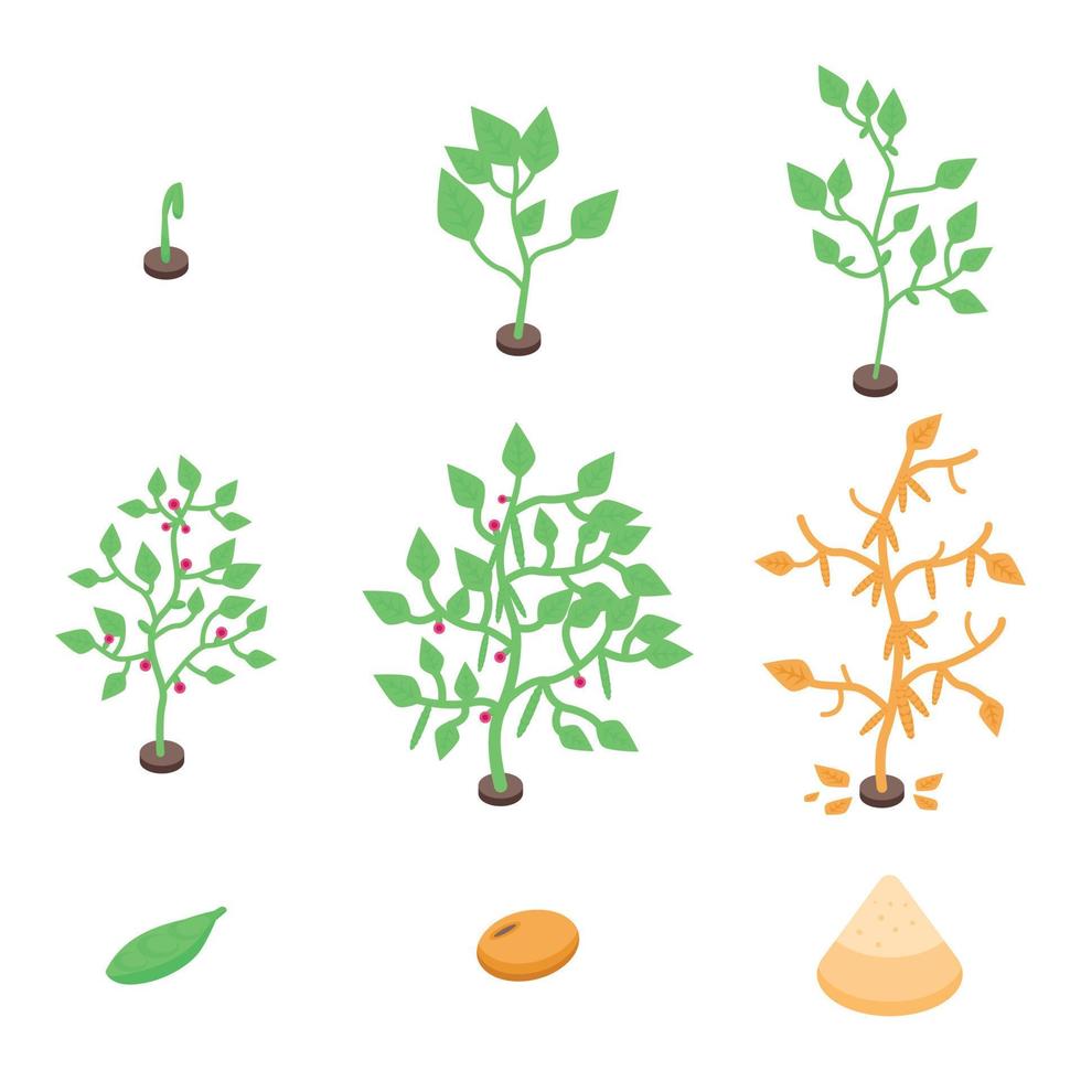 Soybean icons set, isometric style vector