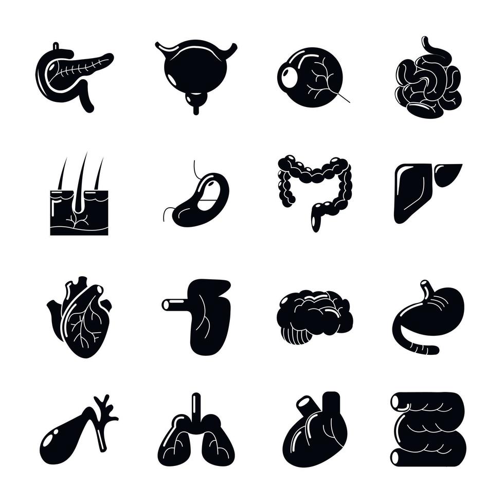 Internal human organs icons set, simple style vector