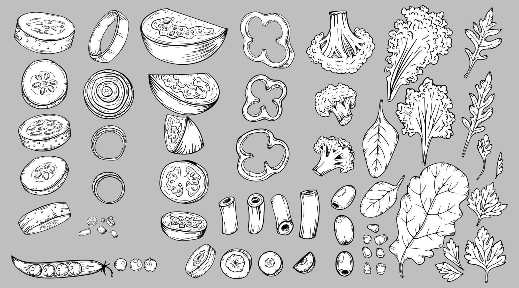 Vegetables food slices carrots, cucumbers, cabbage, tomato, broccoli, etc. Hand drawn sketch vector illustrations in black isolated. For vegan restaurant menu. Thanksgiving recipe