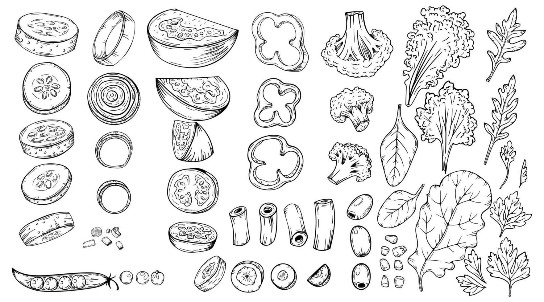 Vegetables food slices carrots, cucumbers, cabbage, tomato, broccoli, etc. Hand drawn sketch vector illustrations in black isolated. For vegan restaurant menu. Thanksgiving recipe.