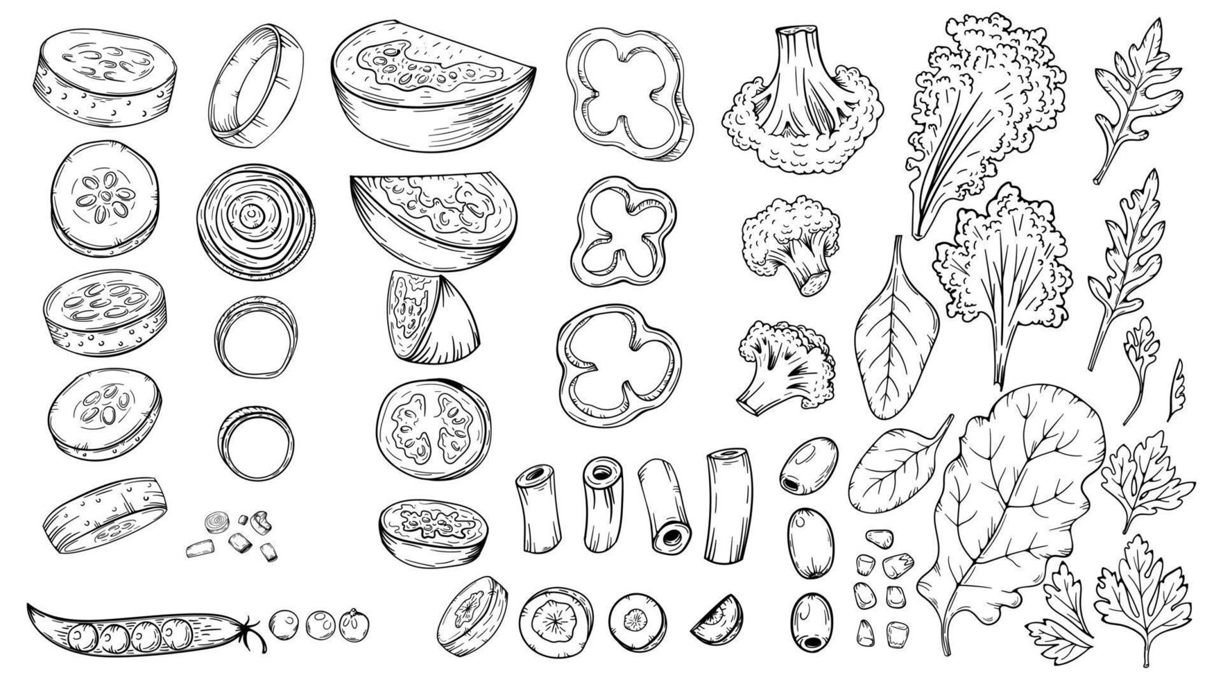 verduras rebanadas de alimentos zanahorias, pepinos, repollo, tomate, brócoli, etc. ilustraciones vectoriales dibujadas a mano en negro aislado. para el menú del restaurante vegano. receta de acción de gracias. vector