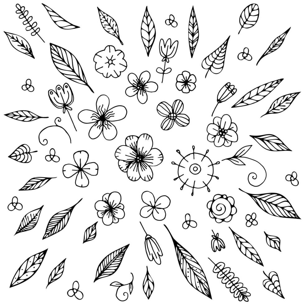 Doodle hand drawn leaves and flowers, line elements for coloring page. Big vector set of a bunch of flowers. Branches, petals, flowering plants, and others. Black and white