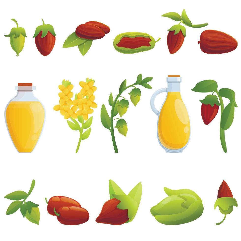 Jojoba icons set, cartoon style vector