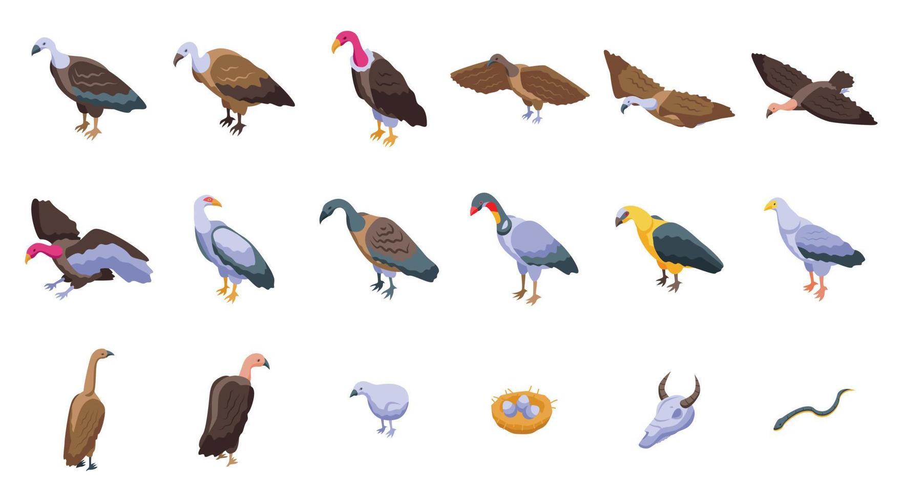 los iconos de buitre establecen un vector isométrico. aves animales