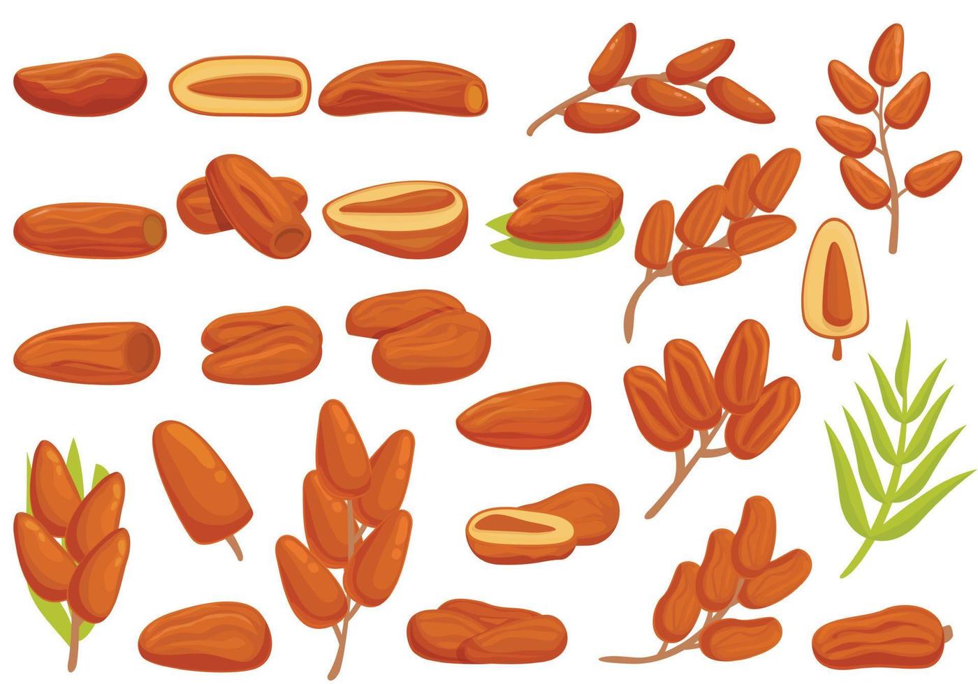 iconos de frutas de fecha establecer vector de dibujos animados. comida de hoja