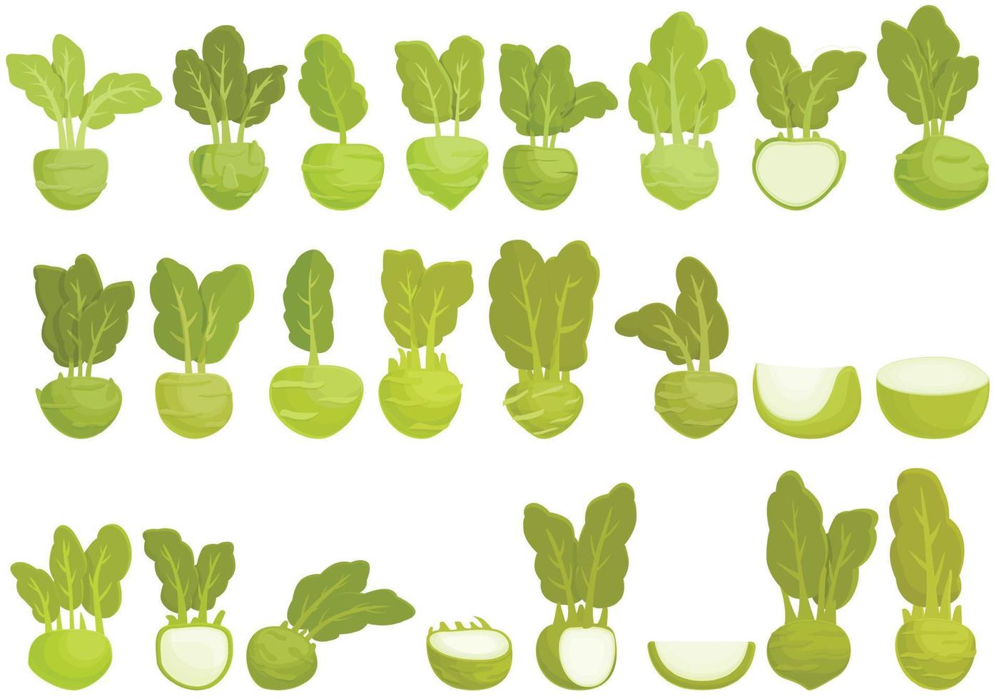 Kohlrabi icons set cartoon vector. Agriculture cabbage vector