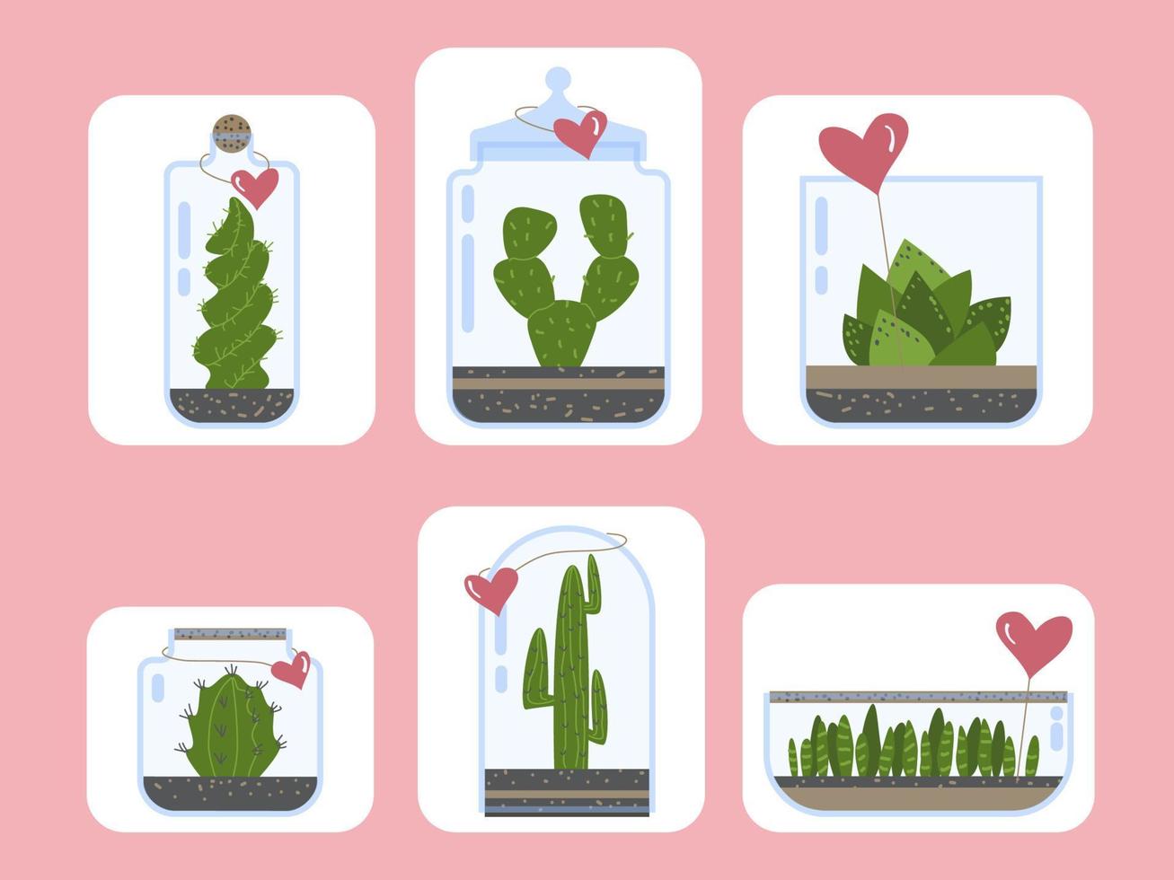 Terrarium plants set. Cactus succulent florarium in glass vase with heart card, cute terrariums with exotic plants, cactus in the bottle for present green plants vector illustration