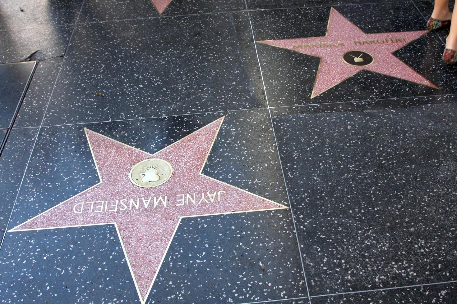 los angeles, 8 de noviembre estrella de jayne mansfield, estrella de mariska hargitay en la ceremonia de la estrella del paseo de la fama de hollywood mariska hargitay en hollywood blvd el 8 de noviembre de 2013 en los angeles, ca foto