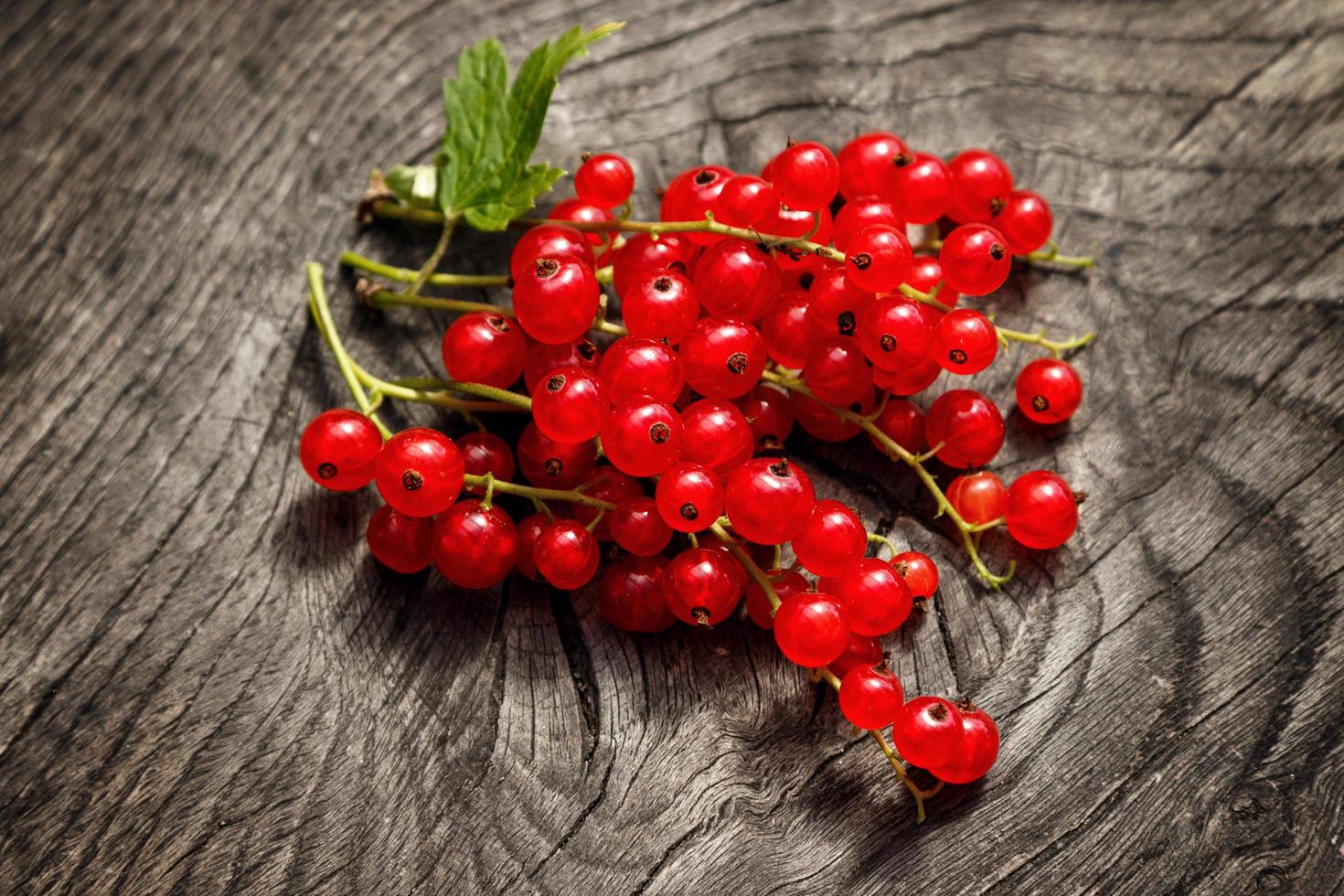 Red currant berries photo
