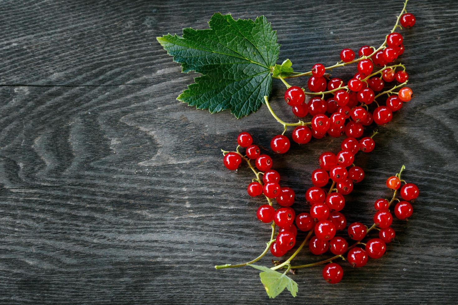 Red currant berries photo