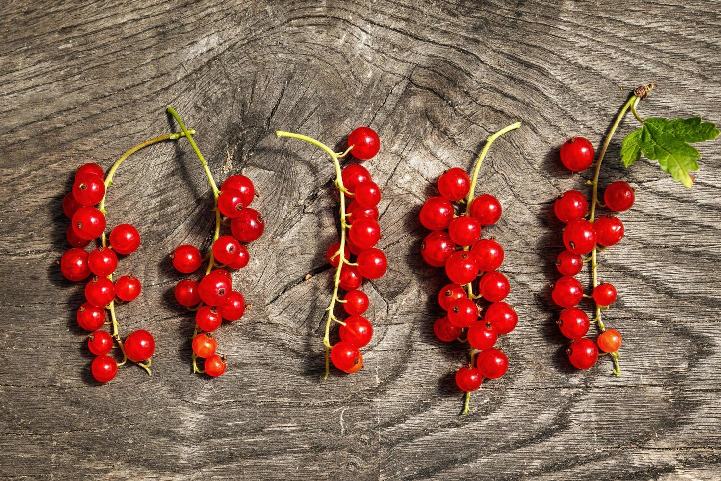 Red currant berries photo