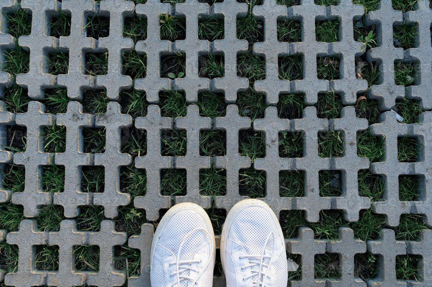 Men's summer shoes and grass among the tiles. Taken from above. photo